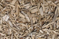 biomass boilers Cliuthar